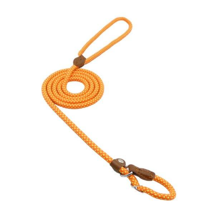 Nylon Pup Set AMSshop